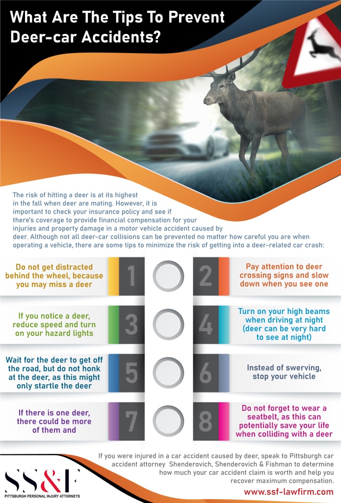 What Are The Tips To Prevent Deer-car Accidents? 